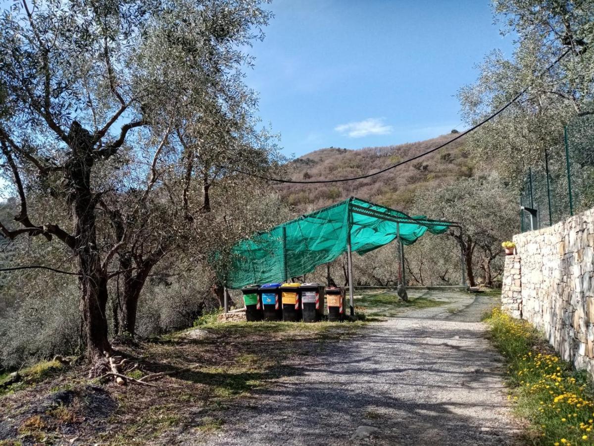 Appartamento Agrisport Ca Di Cuni Roncagli Esterno foto